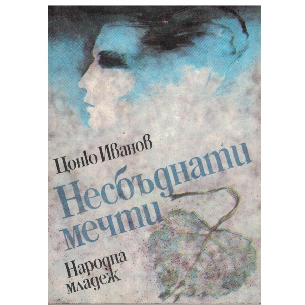 Несбъднати мечти-повест