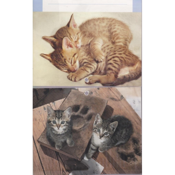 Снимка-котета-двустранни,различни-16 бр.