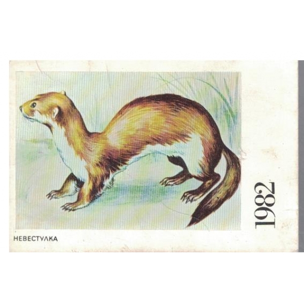 Календар-1982 г.-Невестулка