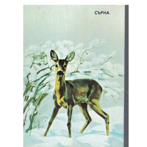 Календар-1985 г.-Сърна-2 бр.