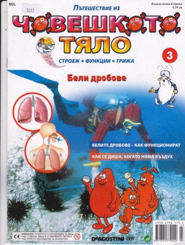 Човешкото тяло-Бели дробове