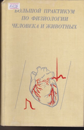 Большой практикум по физиологии человека и животных