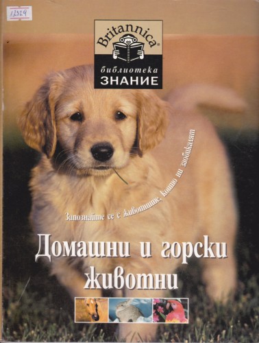 Домашни и горски животни