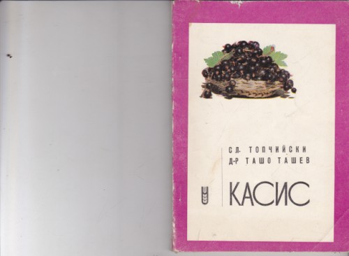 Касис