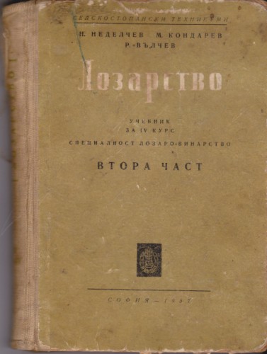 Лозарство