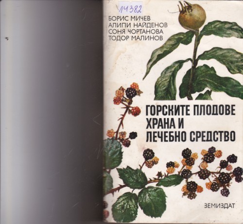 Горските плодове - храна и лечебно средство