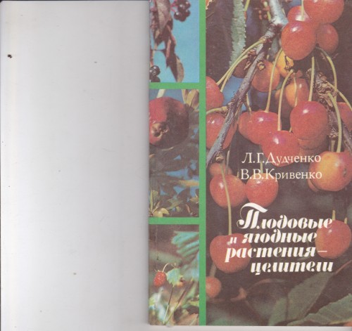 Плодовые и ягодные растения - целители