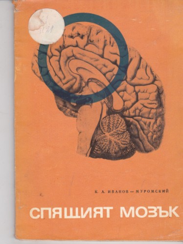 Спящият мозък