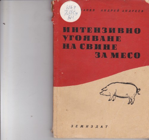 Интензивно угояване на свине за месо
