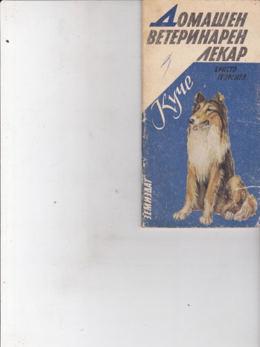 Куче