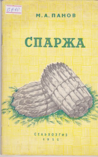 Спаржа