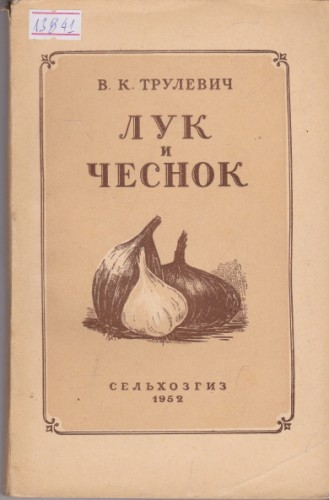 Лук и чеснок