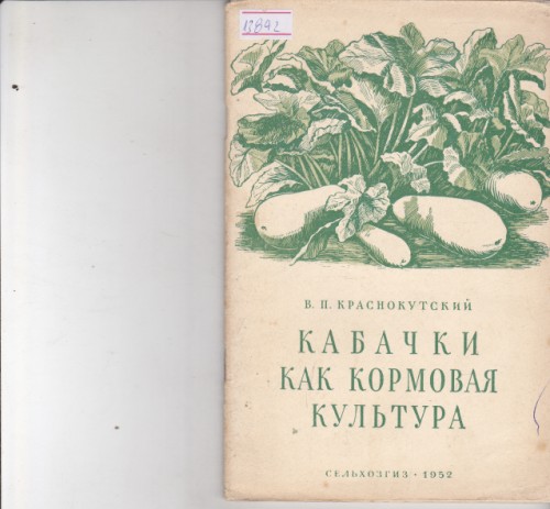 Кабачки как кормовая культура