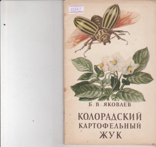 Колорадский картофельный жук