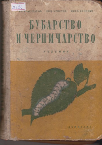 Бубарство и черничарство