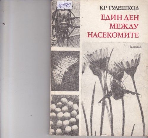 Един ден между насекомите