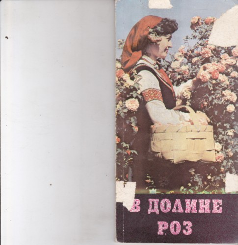 В долине роз