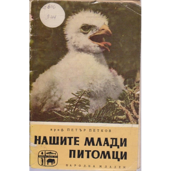 Нашите млади питомци