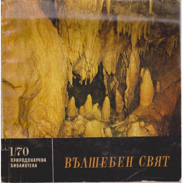 Вълшебен свят