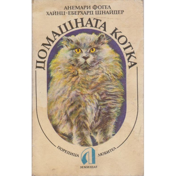 Домашната котка