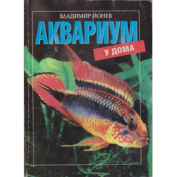 Аквариум у нома