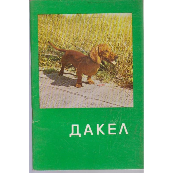 Дакел
