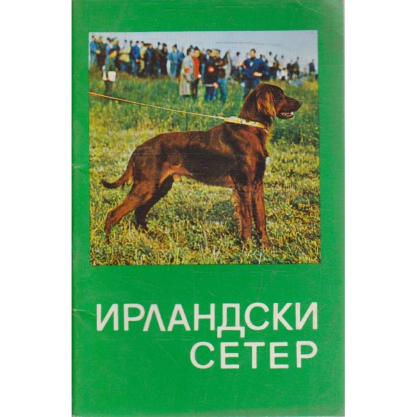 Ирландски сетер