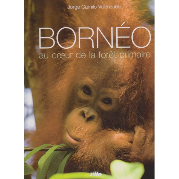 Borneo-au coeur de la foret primaire