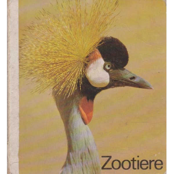 Zootilere-11 фотоси