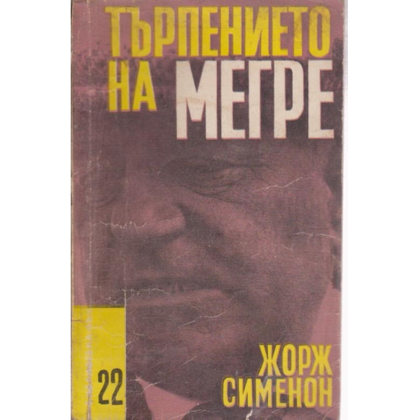 Търпението на Мегре