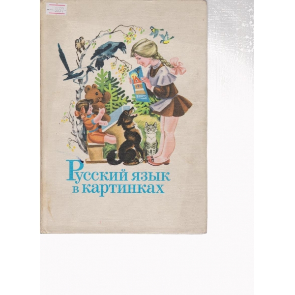 Русский язьик в картинках-1 часть