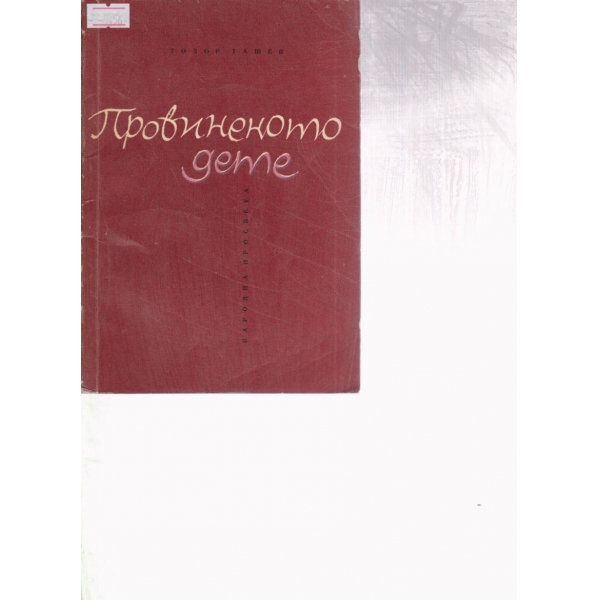 Провиненото дете
