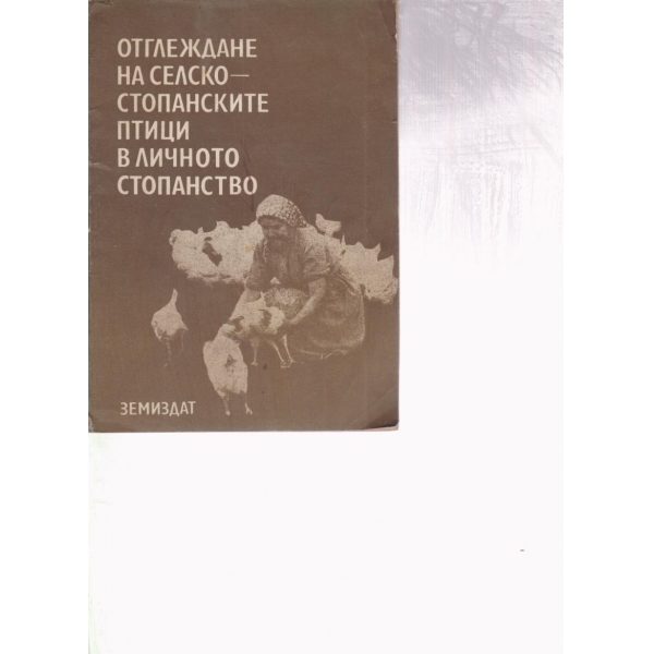 Отглеждане на селскостопанските птици в личното стопанство