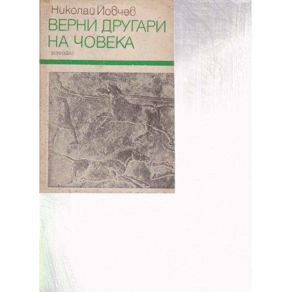 Верни другари на човека