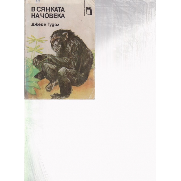 В сянката на човека