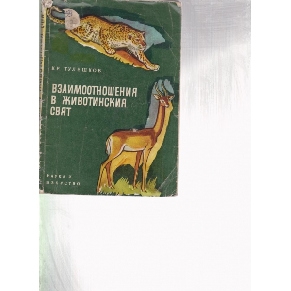 Взаимоотношения в животинския свят