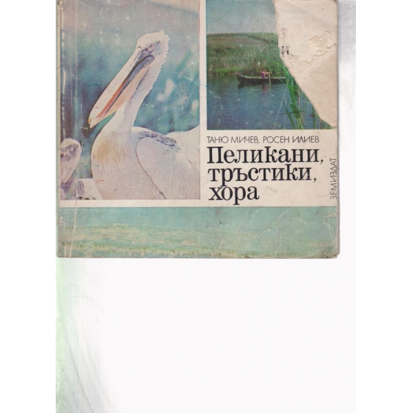Пеликани,тръстики,хора