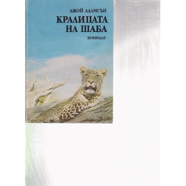 Кралицата на Шаба