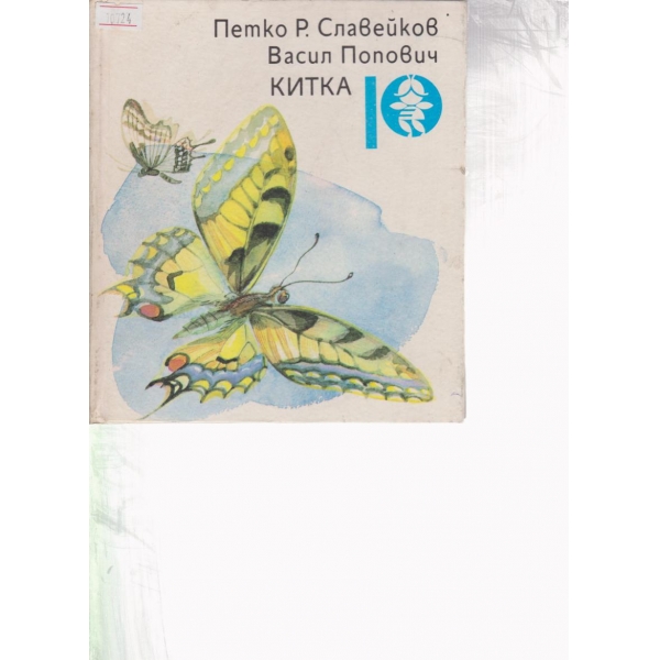 Китка