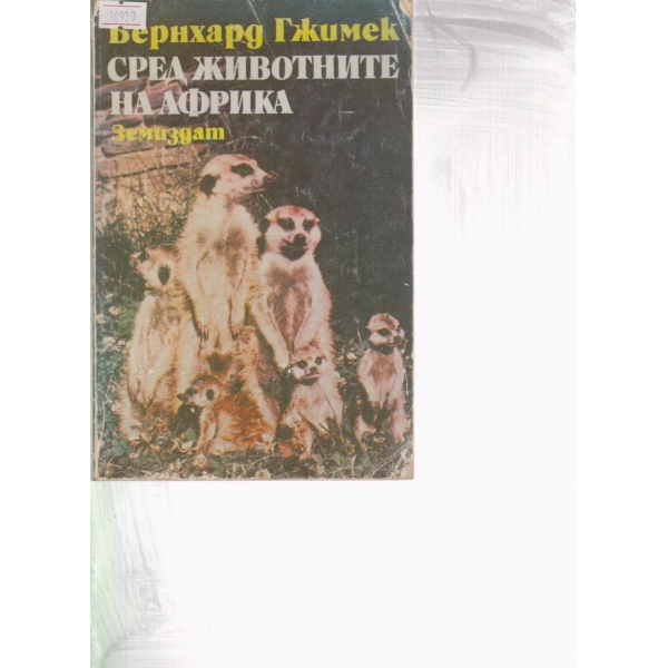 Сред животните на Африка