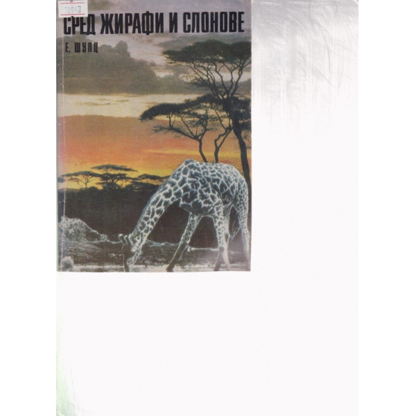 Сред жирафи и слонове