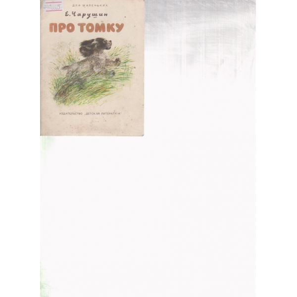 Про Томку