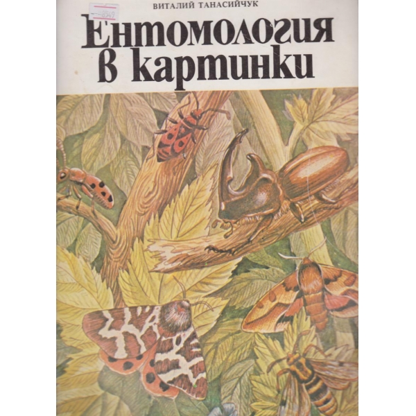 Ентомология в картинки