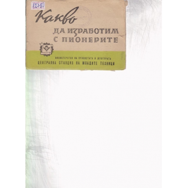 Какво да изработим с пионерите