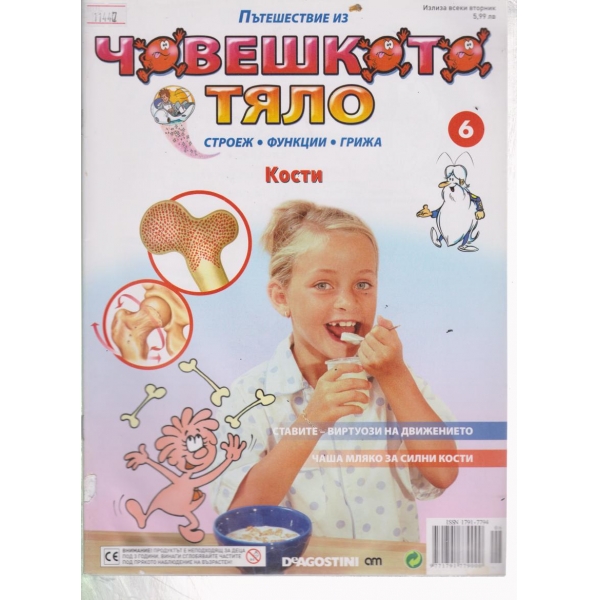 Човешкото тяло-Кости