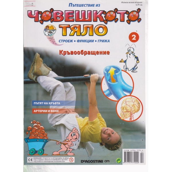 Човешкото тяло-Кръвообръщение