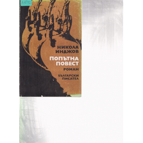 Попътна повест
