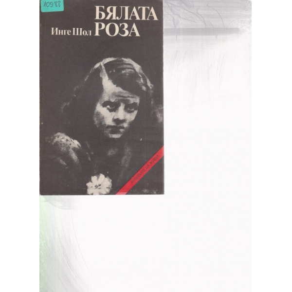 Бялата роза