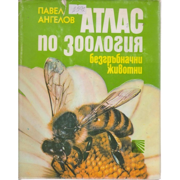 Атлас по зоология безгръбначни животни