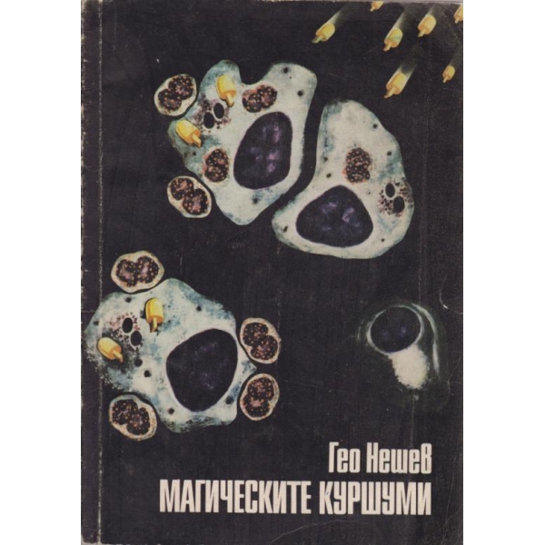 Магическите куршуми